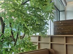 -金鼎轩(鸟巢北辰荟店)