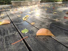 -沪上阿姨·精选茶饮(融创公馆店)