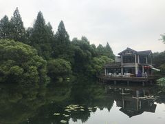 景观位-知味观·味庄(杨公堤店)