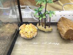 -藦茜花园宠物主题亲子互动体验馆(国顺东路店)