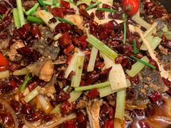 -老板恋上鱼(印象城店)