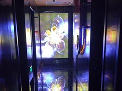 -梵SPA·影院足道·采耳(西藏北路店)