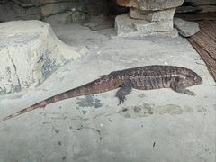 -黔灵山公园