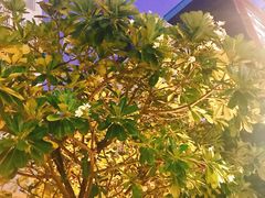 -Let's Relax Spa(Phuket 3rd Street)