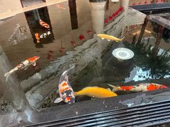 -唐山河头老街国丰维景国际大酒店