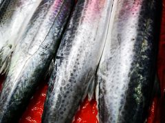 -青岛沙子口国家中心渔港