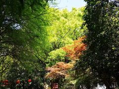 -瀛洲公园