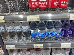 -西双版纳傣族园