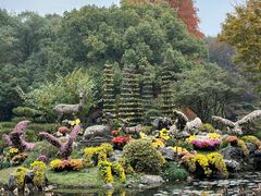 -杭州植物园