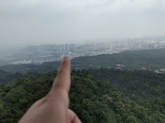 -天花井景区