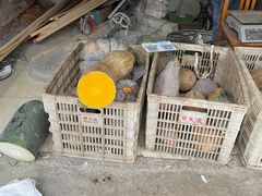 -葑门横街