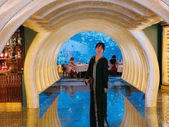 -迪拜帆船酒店海底餐厅