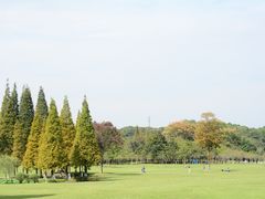 -宜兴龙背山森林公园