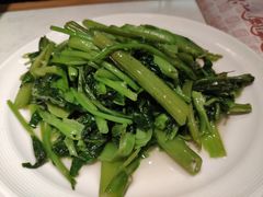 -杨氏青龙虾·羊蝎子(金盛路总店)