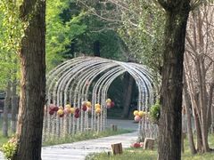 -林栖谷森林康养度假区