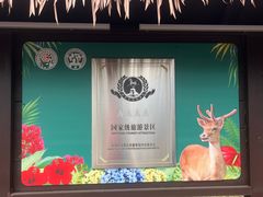 -海南热带野生动植物园