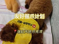 -瑞虹新天地月亮湾