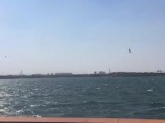 -丁香湖公园
