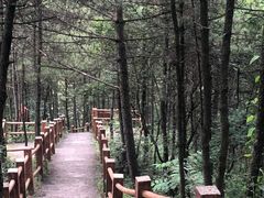 -商洛老君山旅游风景区