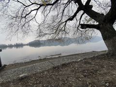 -东湖落雁景区