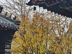 -长安寺