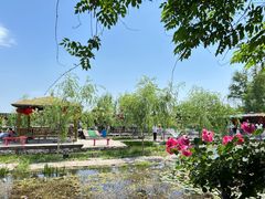 -同銮特种养殖场·龙虾垂钓