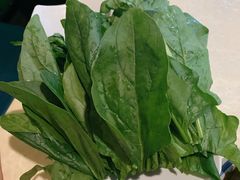 菠菜-和庆斋羊蝎子火锅·碳缸烧烤(顺义旗舰店)