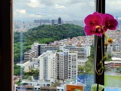 -安乐茶饭·手工素菜·高空景观餐厅(千灯湖店)