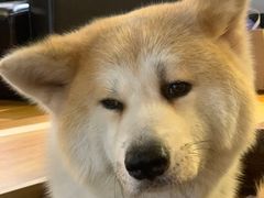 -YCHL Studios健身工作室(市二宫店)