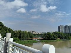 -广东花都湖国家湿地公园