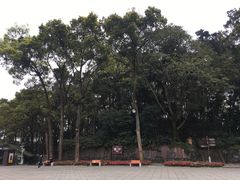 -峨眉山报国寺