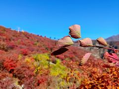 -周口店坡峰岭风景区