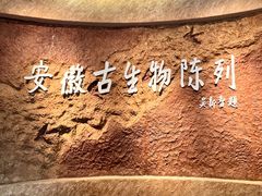 -安徽博物院新馆