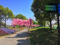 -上海杨姆庄园