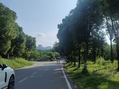 -洋湖国家湿地公园