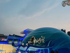 -海合安青岛极地海洋公园
