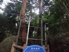 -天龙顶山地公园