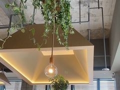 -gaga(金地威新中心店)