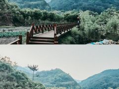 -小洞天柴火土菜馆