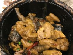 -芙蓉凰花园酒楼