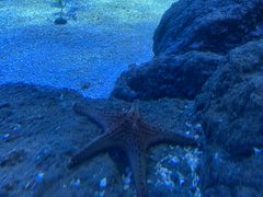 -常州海昌海洋探索馆