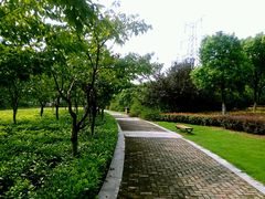 -九里河湿地公园