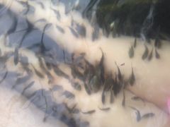 龙达温泉生态城-龙达温泉生态城