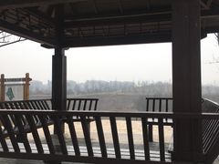 -东郊湿地公园