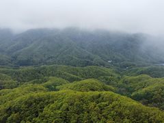 -洛阳白云山景区