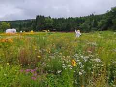 -武陵山森林公园