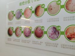 -莱可美科技美肤