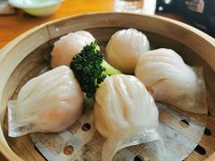 -潍城老菜馆·地标美食