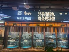 -老船舫·现做活鲜鱼馆(东郊记忆店)