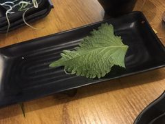-榴大大·寿司先生(市桥店)